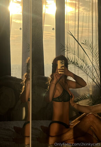 2kinkycats
