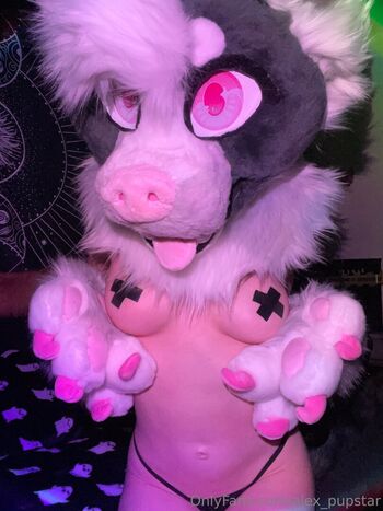 alex_pupstar