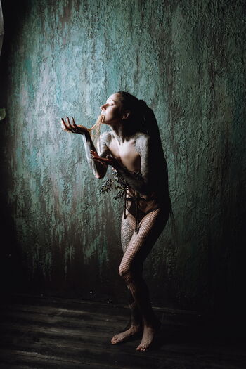 Alexey Pavlov Photographer