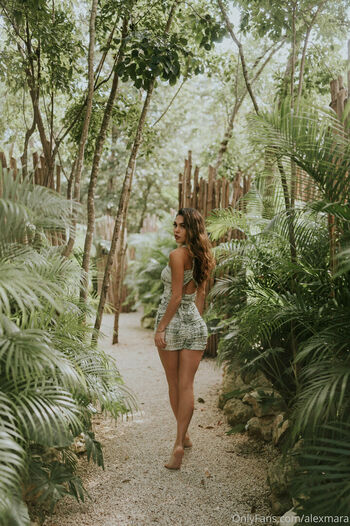 alexmara