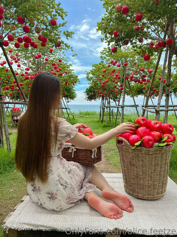 alice.feetze