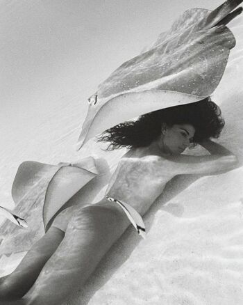 Ariadna Hafez