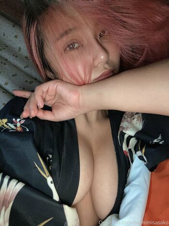 bigmimisasako