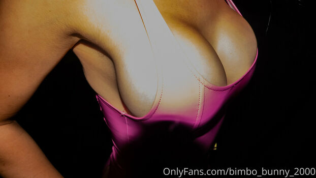 bimbo_bunny_2000