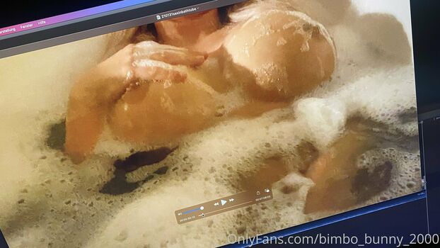 bimbo_bunny_2000
