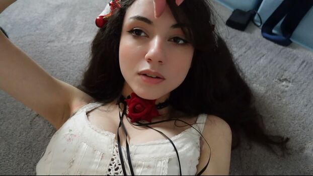 Bonnierabbit