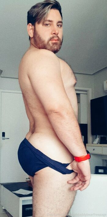 brazildaddybearfreepage