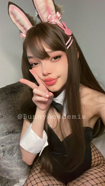 bunnyacademia