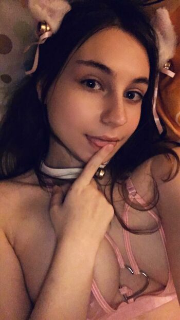 CalicoKitty19
