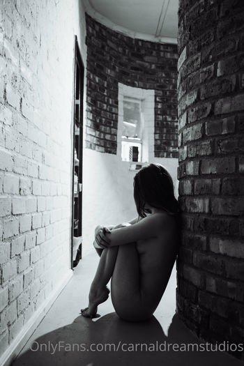carnaldreamstudios