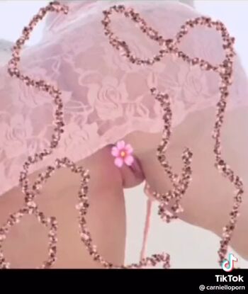 Carniello