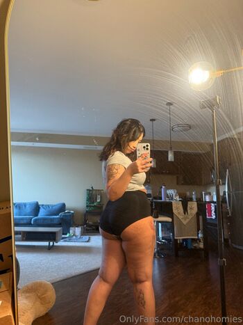 chanohomies