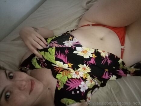 colachaa_hott