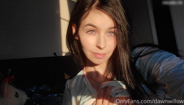 Dawn Willow