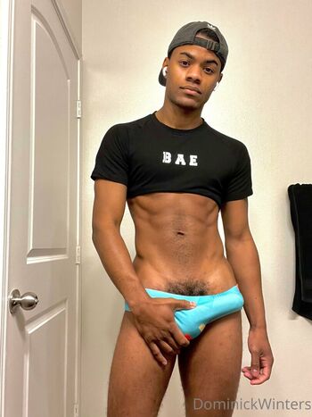 dominickwinters