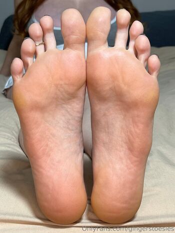 gingerstoesies