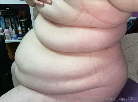 growing_piggy1305