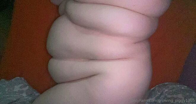 growing_piggy1305