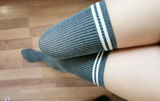 GymFoxFi