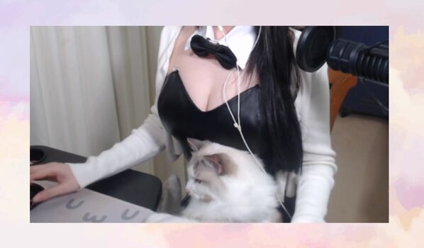 hello_kiko