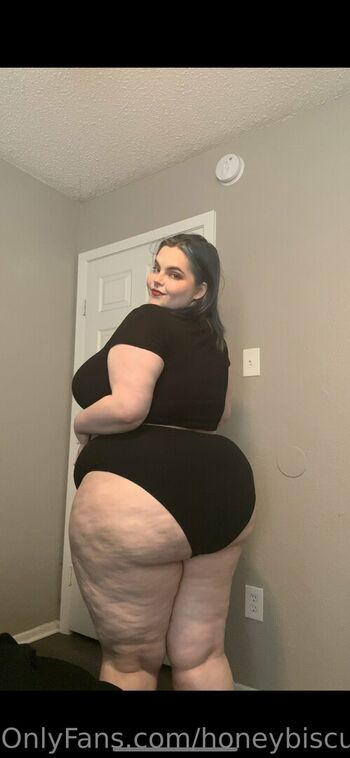 honeybiscuit20