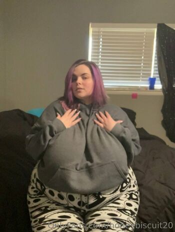 honeybiscuit20