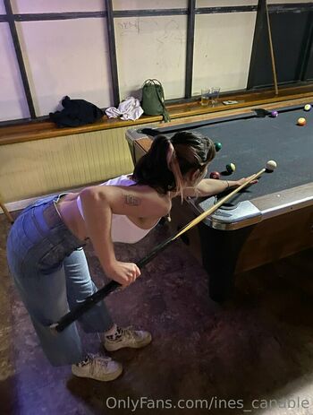 ines_capable