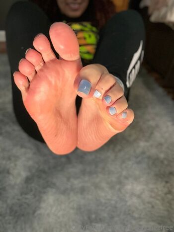 jennysanchezfree