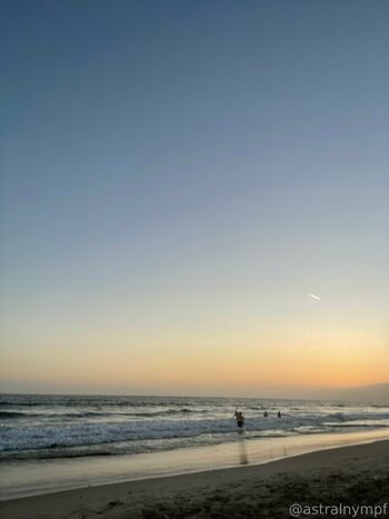 lolaslands