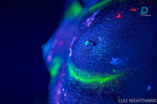 luu_nighthawk