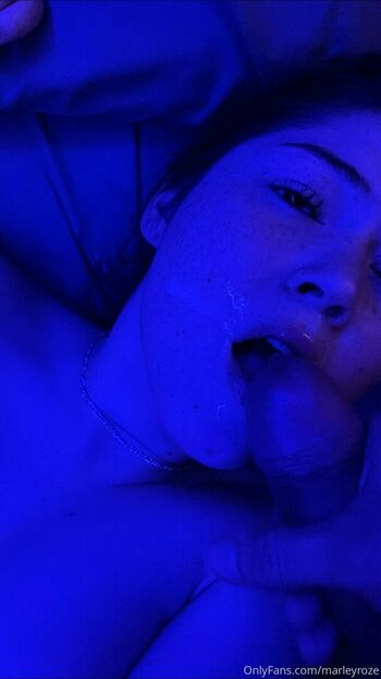 marleyroze