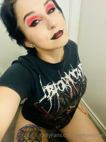 mellowkitten