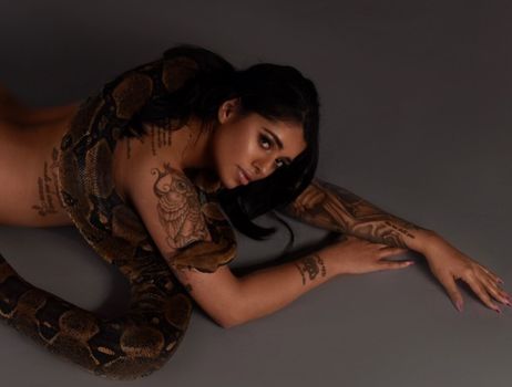 Mikayla Dabash