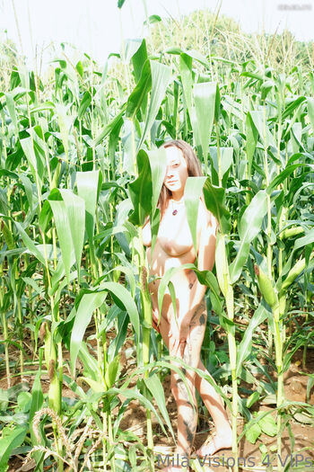 Mila Visions