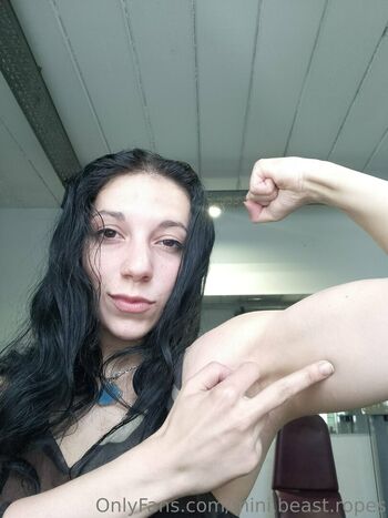 mini.beast.ropes
