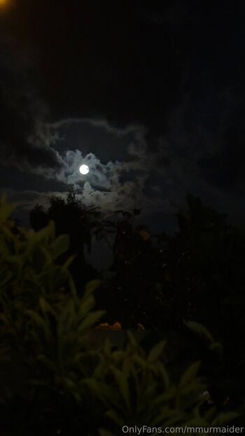 mmurmaider