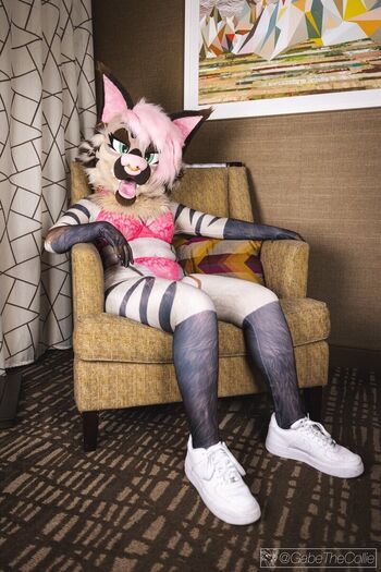 Murrsuit