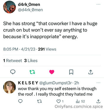 nice.spice