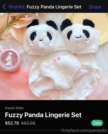 pandy02