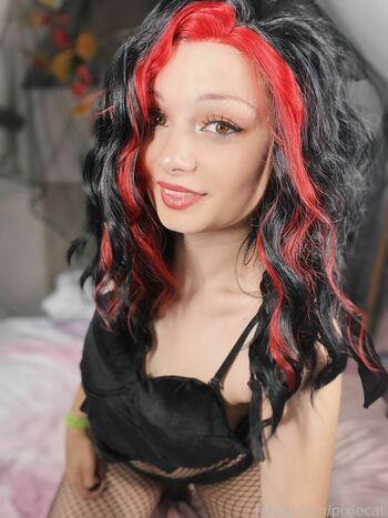 Pixiecat