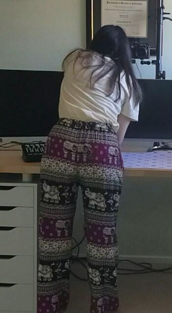 PotasticPanda