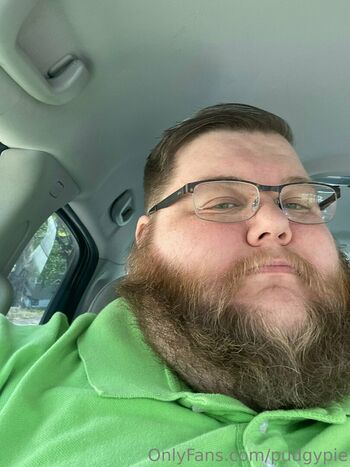 pudgypie