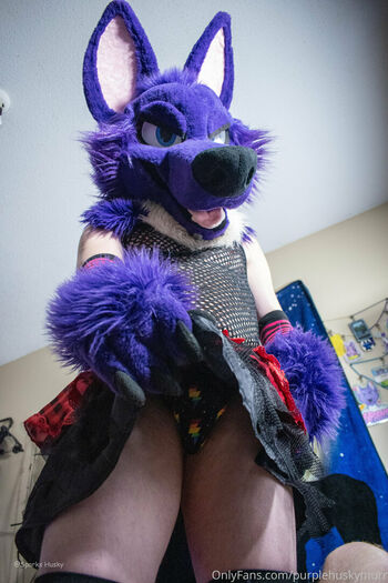 purplehuskymurr