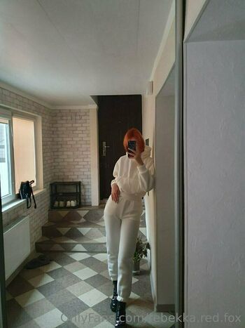 rebekka.red.fox
