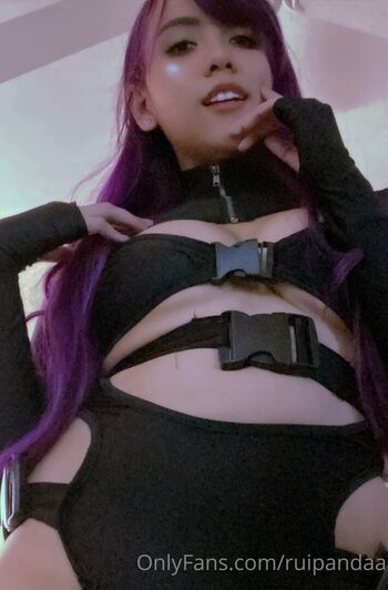 Ruipandaa