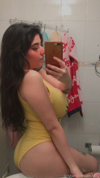 sam_fdz02