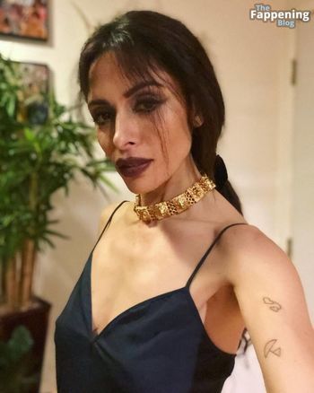 Sarah Shahi