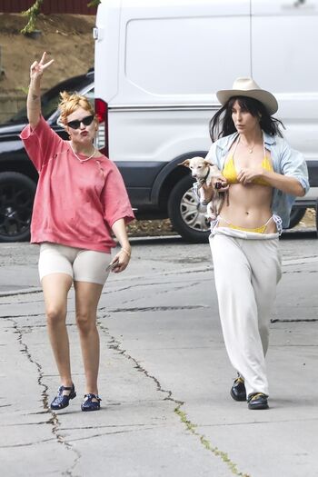 Scout Willis