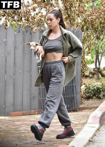 Scout Willis