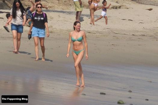 Shailene Woodley